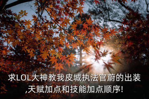 蔚出裝,魏無限火力魏出裝備銘文:三相、白車、夜刃、板甲
