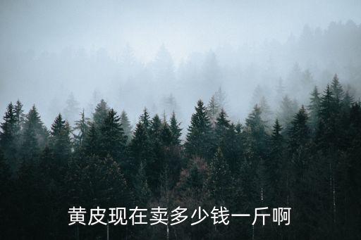 深圳黃皮多少錢一斤，黃皮現在賣多少錢一斤啊