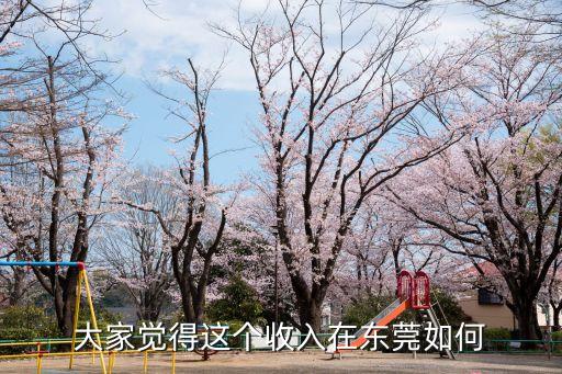 大家覺得這個收入在東莞如何
