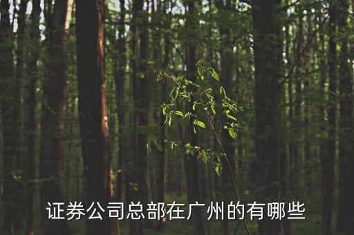 證券公司總部在廣州的有哪些