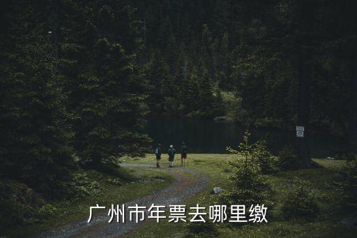 廣州市年票補繳店，請問廣州的汽車年票可以去哪代繳啊