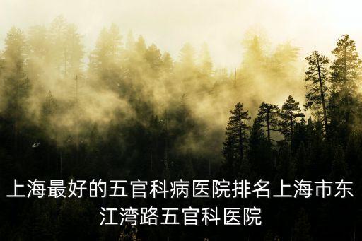 上海最好的五官科病醫院排名上海市東江灣路五官科醫院