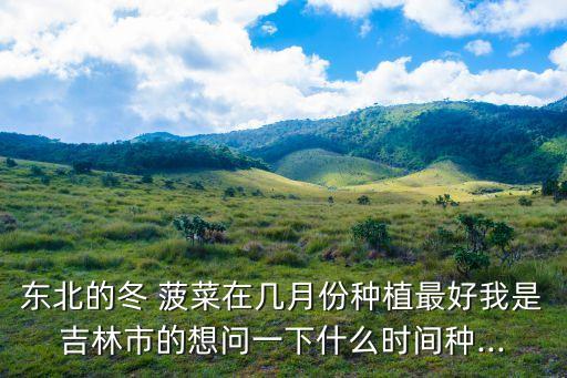 東北的冬 菠菜在幾月份種植最好我是吉林市的想問一下什么時間種...