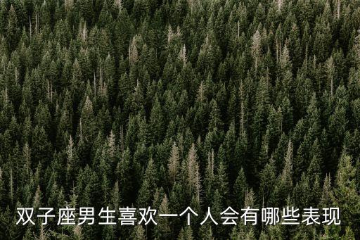 雙子座男生喜歡一個人會有哪些表現