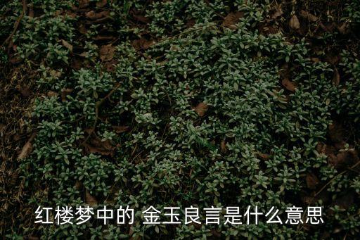 金玉言