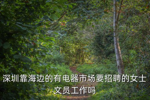 深圳靠海邊的有電器市場要招聘的女士文員工作嗎