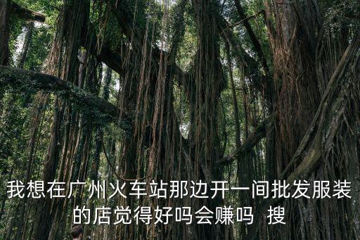 我想在廣州火車站那邊開一間批發服裝的店覺得好嗎會賺嗎  搜
