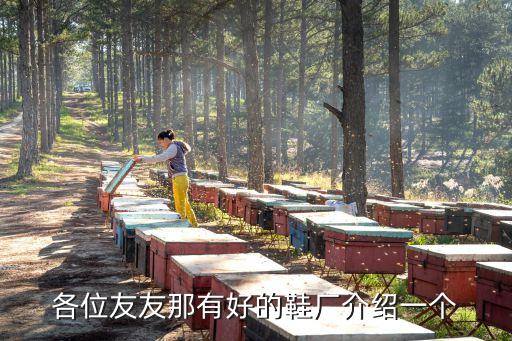 各位友友那有好的鞋廠介紹一個