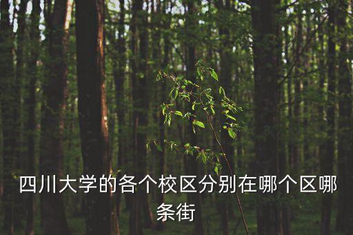  四川大學的各個校區分別在哪個區哪條街