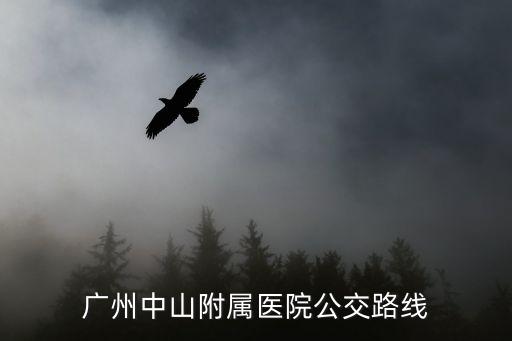 廣州中山附屬醫(yī)院公交路線