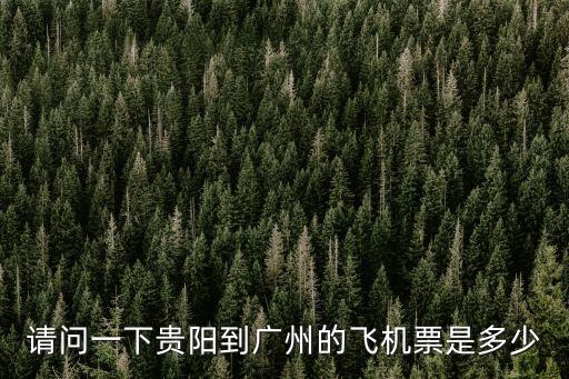 貴陽機場到廣州機票，定機票貴陽到廣州