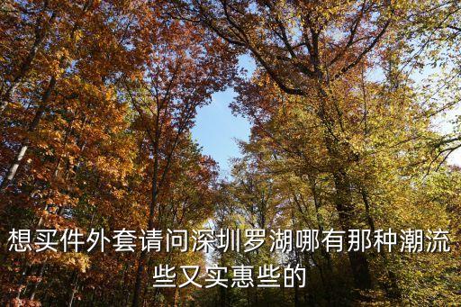 想買件外套請問深圳羅湖哪有那種潮流些又實惠些的