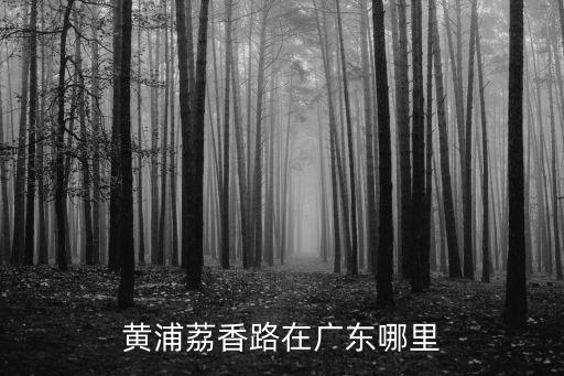 黃浦荔香路在廣東哪里