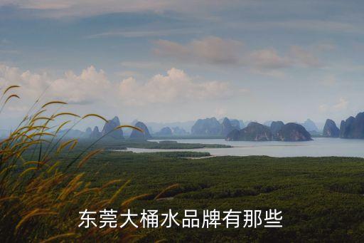 東莞大桶水品牌有那些
