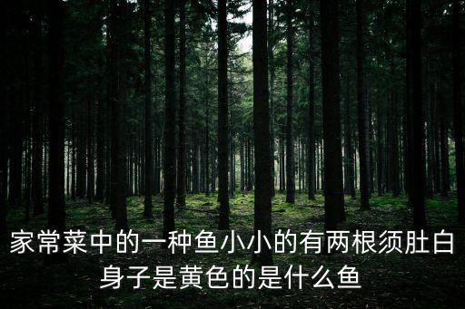 家常菜中的一種魚小小的有兩根須肚白身子是黃色的是什么魚