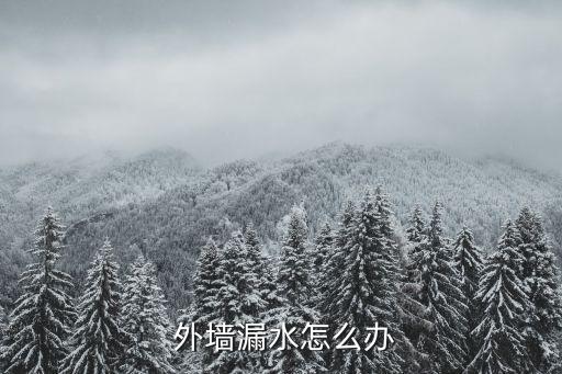 外墻滲水維修,房屋外墻滲水維修