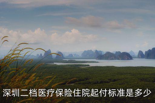深圳二檔醫(yī)療保險住院起付標(biāo)準(zhǔn)是多少