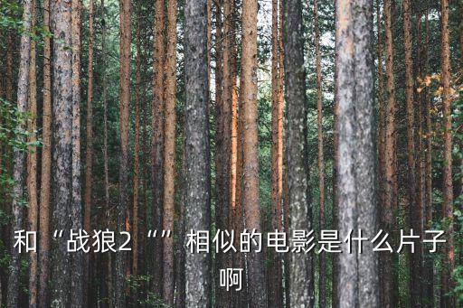 和“戰狼2“”相似的電影是什么片子啊