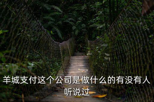 羊城支付這個公司是做什么的有沒有人聽說過