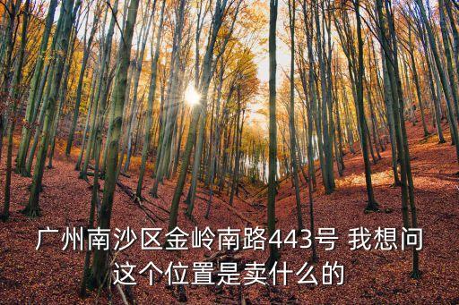 廣州南沙區金嶺南路443號 我想問這個位置是賣什么的