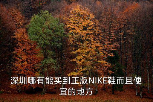 深圳哪里有正品Nike折扣店，深圳哪有能買到正版NIKE鞋而且便宜的地方