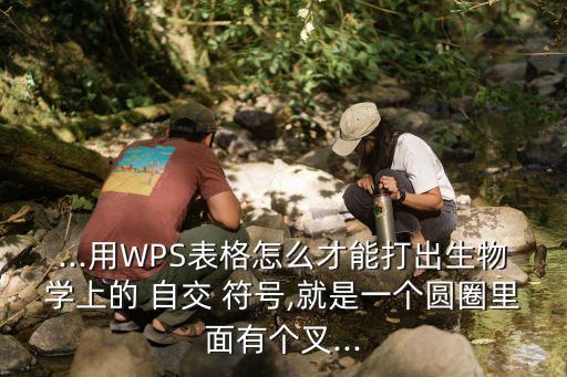 ...用WPS表格怎么才能打出生物學(xué)上的 自交 符號,就是一個(gè)圓圈里面有個(gè)叉...