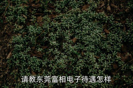請教東莞富相電子待遇怎樣
