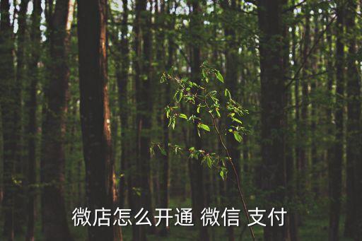 微店怎么開(kāi)通 微信 支付
