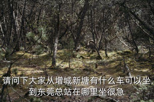 增城哪個車站有發往東莞東站的，請問下大家從增城新塘有什么車可以坐到東莞總站在哪里坐很急