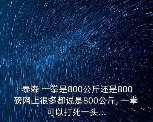 泰森一拳有多重,泰森個人資料一拳有多重