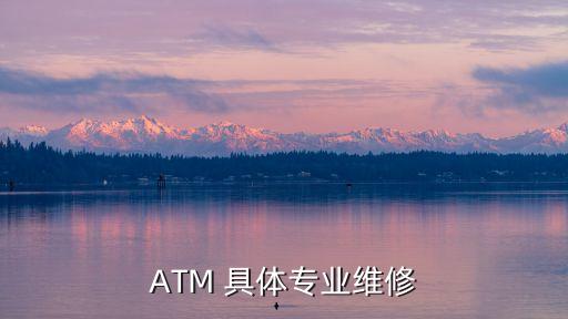 ATM 具體專業維修