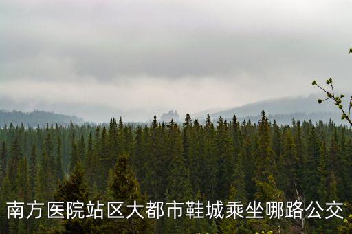 南方醫院站區大都市鞋城乘坐哪路公交