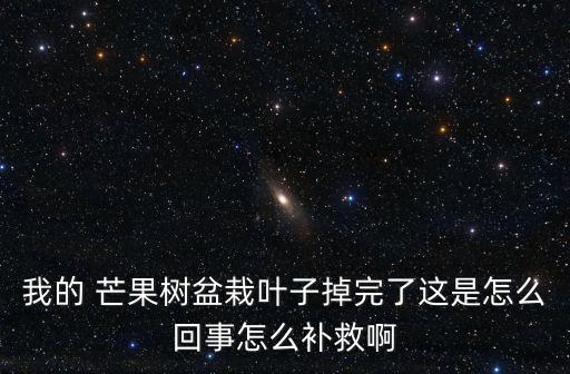 我的 芒果樹盆栽葉子掉完了這是怎么回事怎么補救啊