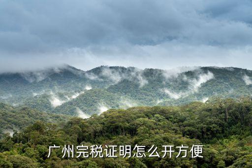 廣州完稅證明怎么開(kāi)方便