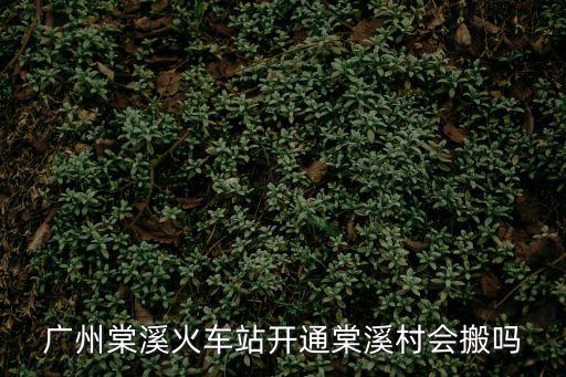 廣州棠溪火車站開通棠溪村會搬嗎