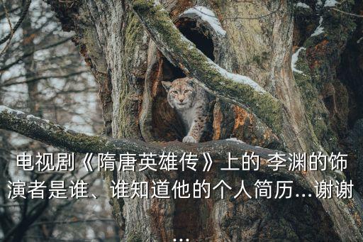電視劇《隋唐英雄傳》上的 李淵的飾演者是誰、誰知道他的個人簡歷…謝謝...