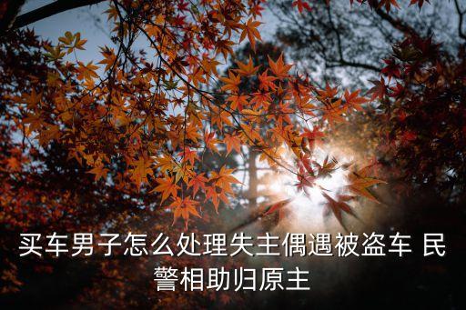 買車男子怎么處理失主偶遇被盜車 民警相助歸原主