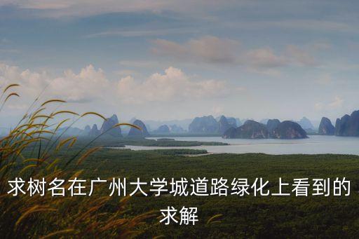 求樹名在廣州大學城道路綠化上看到的求解