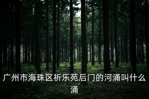 廣州市河涌資料，廣州市海珠區祈樂苑后門的河涌叫什么涌