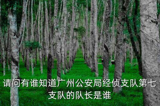 請問有誰知道廣州公安局經偵支隊第七支隊的隊長是誰