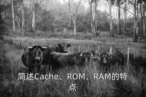 rom中的信息是,Rom中的信息是由計算機制造廠家預先寫入的
