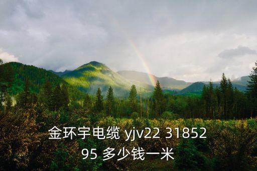金環(huán)宇電纜 yjv22 3185295 多少錢一米