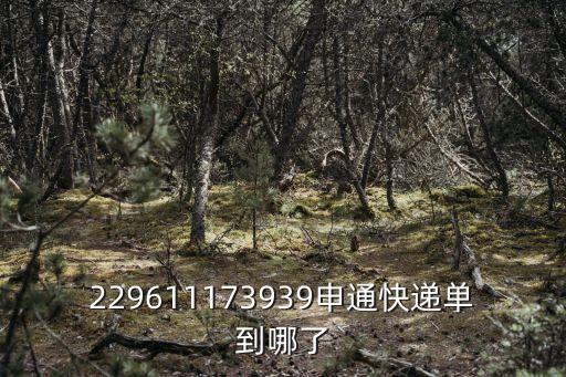 229611173939申通快遞單到哪了