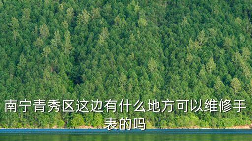 南寧青秀區這邊有什么地方可以維修手表的嗎
