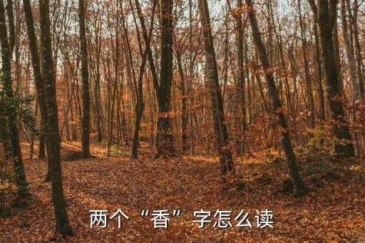 香雨,香雪蘭種球的種植方法時間