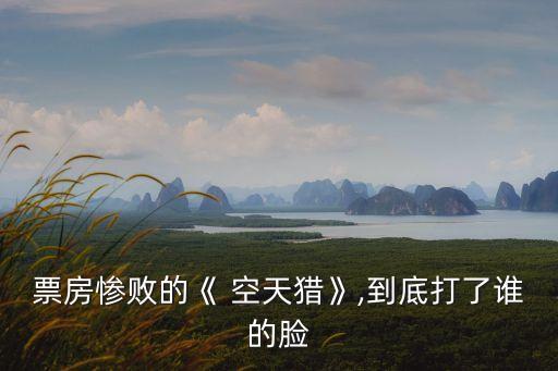 空天獵2,《空天獵》票房慘敗?原因揭曉!