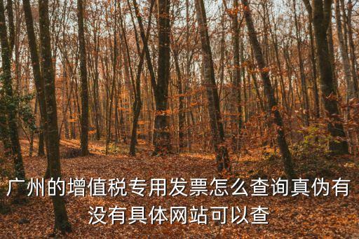 廣州的增值稅專用發票怎么查詢真偽有沒有具體網站可以查