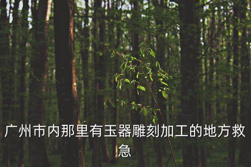 廣州市內那里有玉器雕刻加工的地方救急