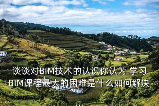 談談對BIM技術的認識你認為 學習BIM課程最大的困難是什么如何解決...