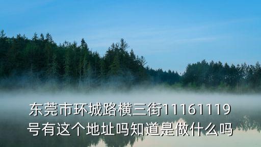東莞市環(huán)城路橫三街11161119號有這個地址嗎知道是做什么嗎